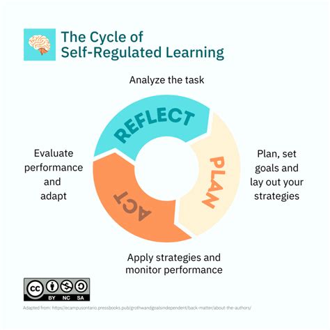 Self Regulated Learning